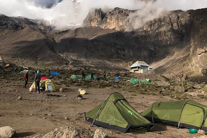 Best 7 Days Kilimanjaro Hiking Machame Route in , 2025, 2026 - Cancellation Policy