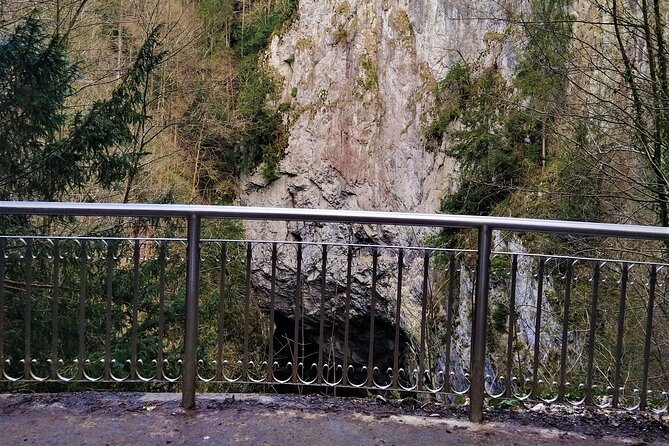 Best of Czech Caves - Full-Day Hiking Tour in Moravian Karst - Customer Reviews and Feedback