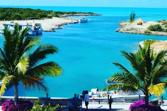 Best-of-Providenciales Buggy Sightseeing Tour - Positive Management Responses