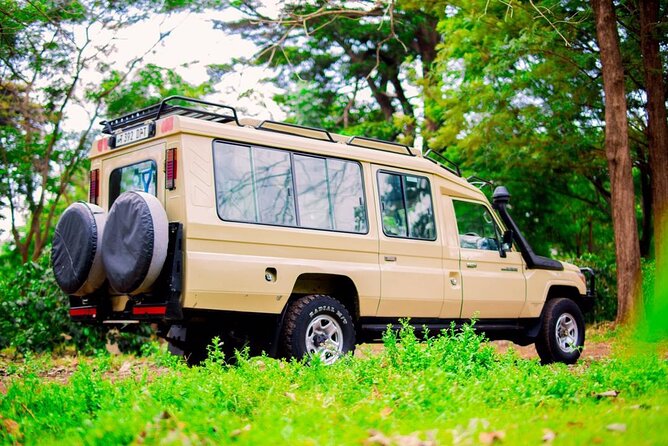 Best Tanzania Safari | 5 Days Tanzania Affordable Migration Safari - Traveler Experiences