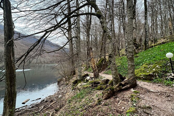 Biogradska Gora National Park & Skadar Lake Boat Tour - Traveler Reviews