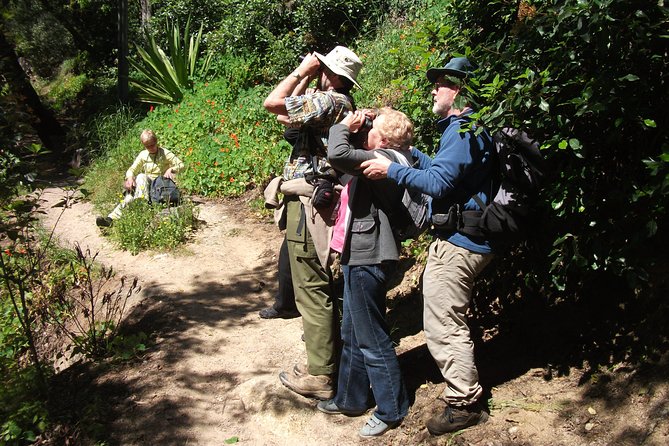 Birdwatching Day in the Monchique Hills - Preparation Tips
