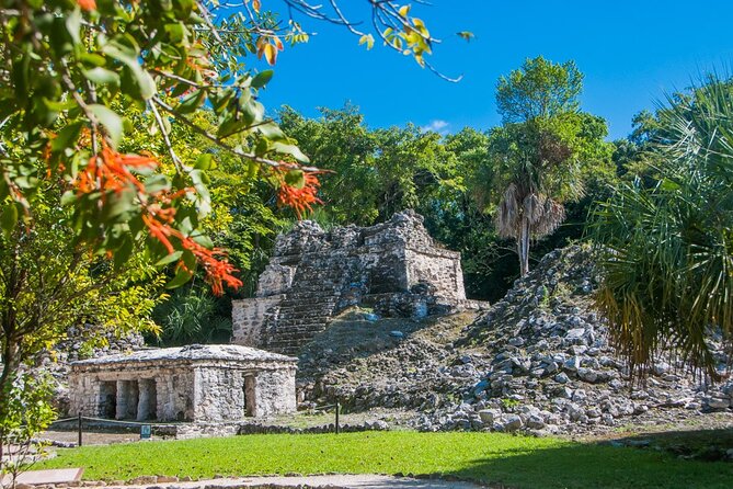 Birdwatching in Sian Ka'An and Muyil Archaeological Site From Tulum - Highlight of Birdwatching Experiences