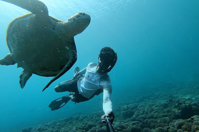 Boat Trip and Snorkeling at Daymaniyat Island - Booking and Confirmation