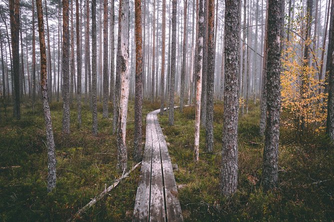 Bogs and Resorts in Jūrmala - Tips for Visiting Jūrmala