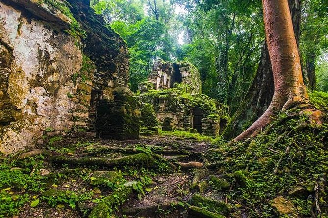 Bonampak & Yaxchilan: Hidden Maya Ruins in the Chiapas Jungle - Exploring Bonampak Murals