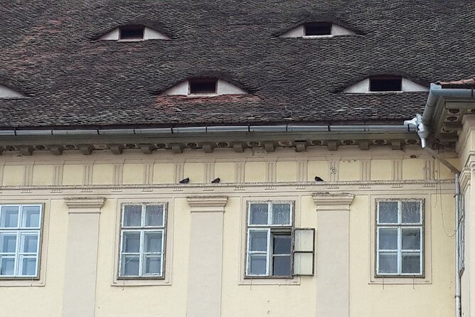 Brasov: Sighisoara & Bear Sanctuary Tour Entrance Fee Guaranteed - Customer Reviews