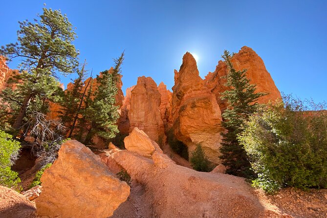 Bryce Canyon National Park: Private Guided Hike & Picnic - Traveler Experiences and Highlights