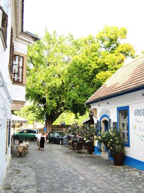 Budapest: The Fabulous Danube Bend Full-Day Tour - Optional Activities and Lunch