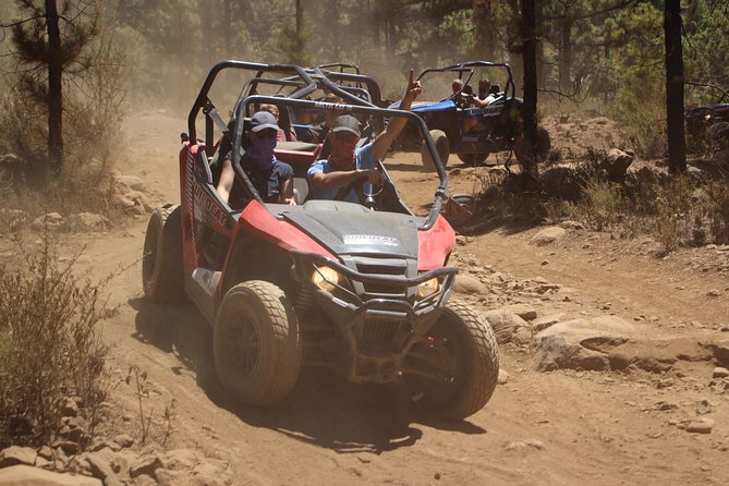 Buggy Safari Teide National Park - Since You Asked