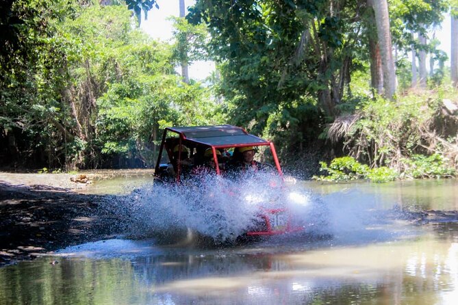Buggy Tour Excursion in Taino Bay and Amber Cove Port - Discovering Amber Cove