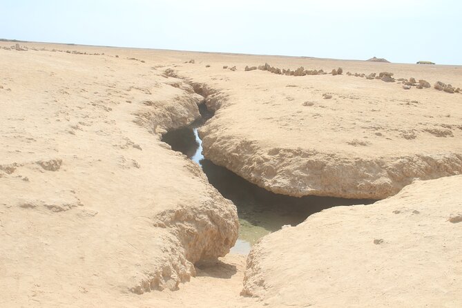 Bus Tour to Ras Mohamed From Sharm El Sheikh - What to Bring