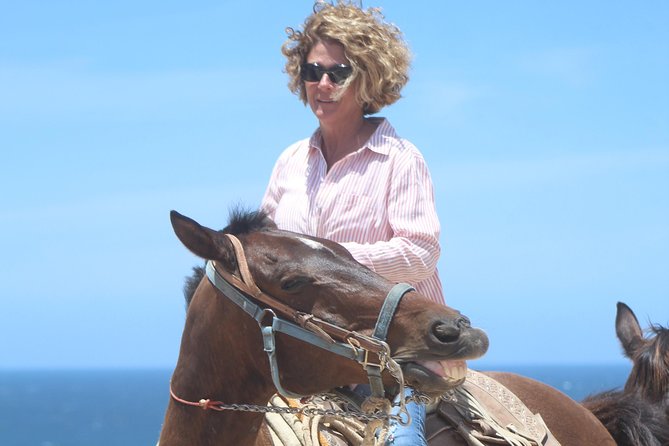 Cabo Desert Off-Road & Beach Horseback Combo and Tequila Tasting - Navigating Additional Fees