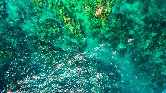 Cabo Escape Breakfast Snorkel Cruise - Cruise Duration and Ending Location