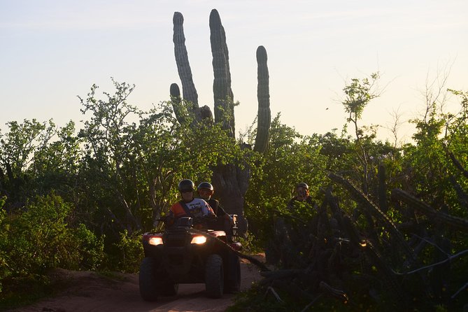 Cabo Original Real Baja 1000 Tour (Double ATV) - Pricing and Payment Options