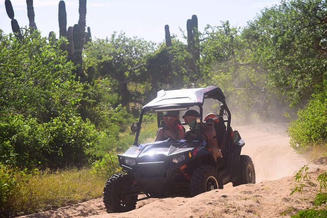 Cabo Original Real Baja 1000 Tour (Quad UTV) - Off-Road Experiences