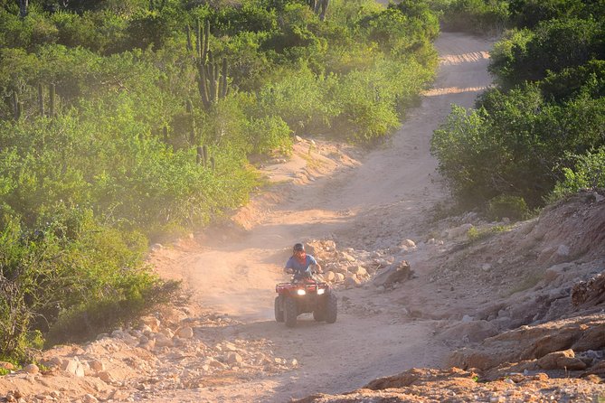 Cabo Original Real Baja 1000 Tour (Single ATV) - Explore the Baja Terrain