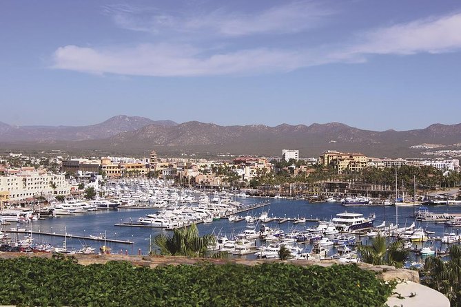 Cabo San Lucas and San Jose Del Cabo Sightseeing Tour - Exceptional Tour Guides