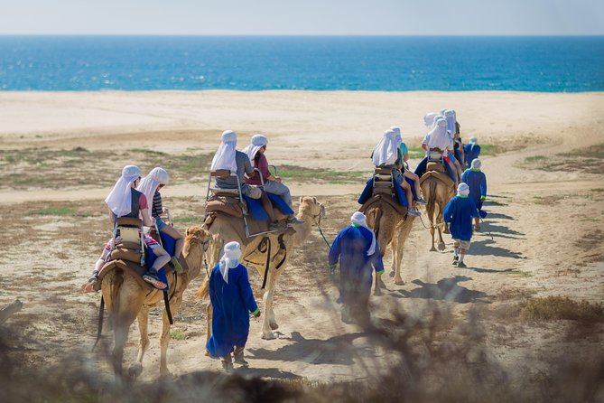 Cabo San Lucas Camel Ride With Mexican Buffet and Tequila Tasting - Guest Feedback