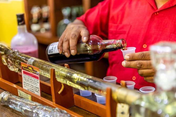 Cabo San Lucas Shopping, Tequila Tasting, and Snorkel Tour - Tequila Tasting and Glassblowing Experience