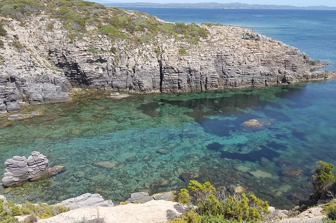 Cagliari: San Pietro Island and Carloforte Private Experience - Learning Island History