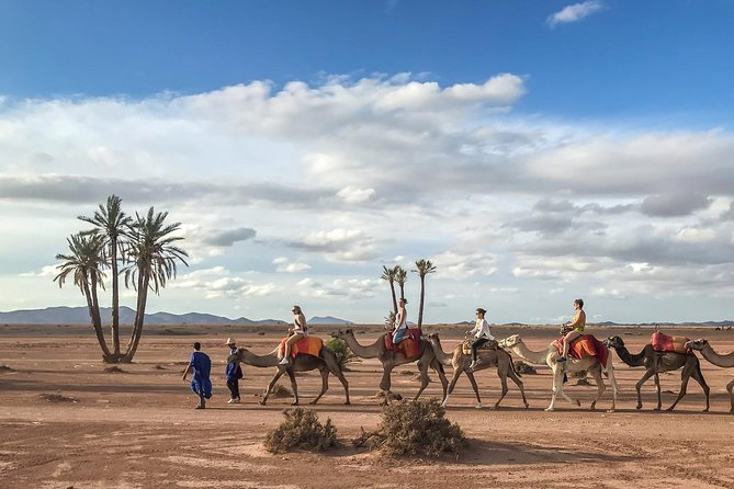Camel Ride and Quad Bike in Palmeraie - Quad Bike Adventure