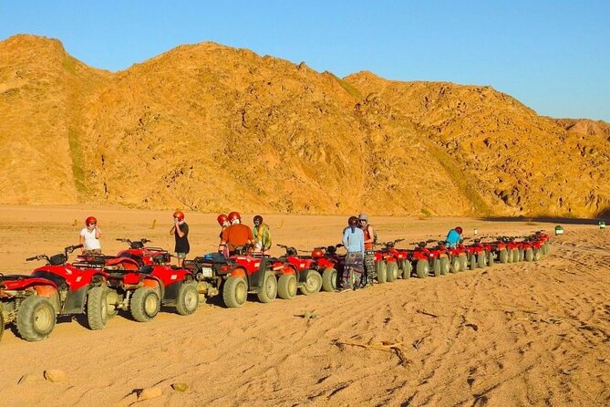 Camel Ride + Blue Hole Snorkeling + Quad Bike Tour With Lunch From Dahab - Guest Reviews and Insights