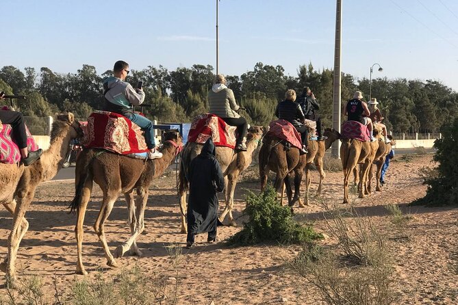 Camel Ride in Agadir at Sunset With Dinner (Bbq) - Accessibility and Participation Considerations