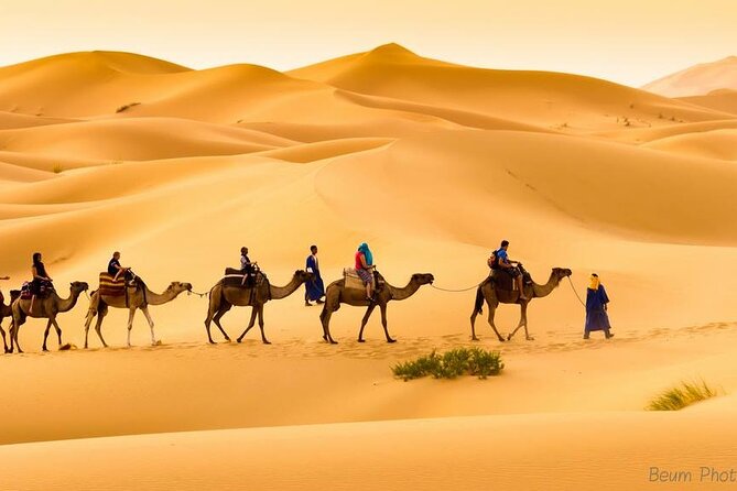 Camel Ride & Overnight Stay in Desert Camp Merzouga - Important Information for Travelers