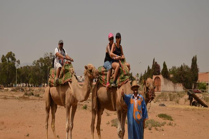 Camel Riding in Agadir for Cruise Ship Passengers - Booking and Cancellation