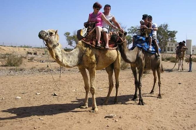 Camel Riding - Booking Your Camel Riding Adventure