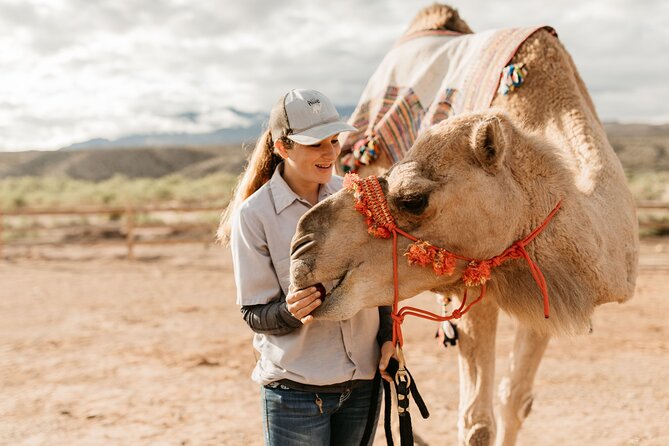 Camel Safari - Camel Ride and Zoo Tour - Traveler Experiences and Feedback