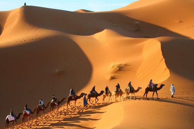 Camel Trekking & Overnight Luxury Camp - Booking and Cancellation Information