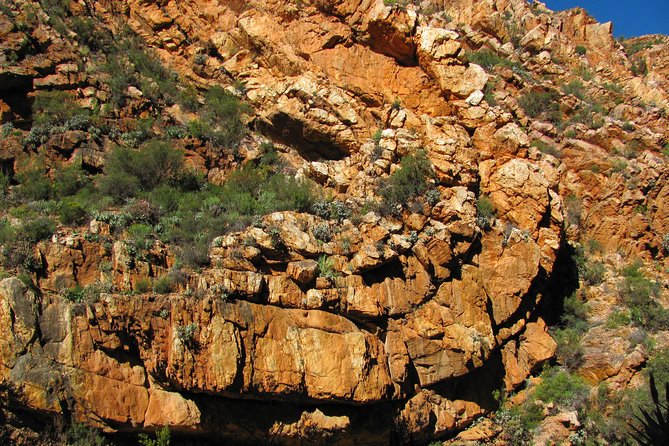 Cango Caves,Swartberg Pass,Prince Albert & Meiringspoort Daytrip - Tour Accessibility and Comfort