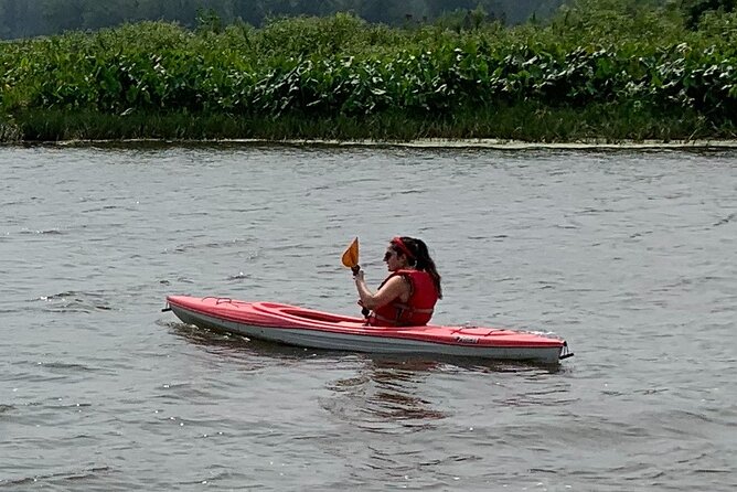 Canoe/Kayak Day Tour of Mississippi Wildlife & Fish Refuge - Customer Reviews