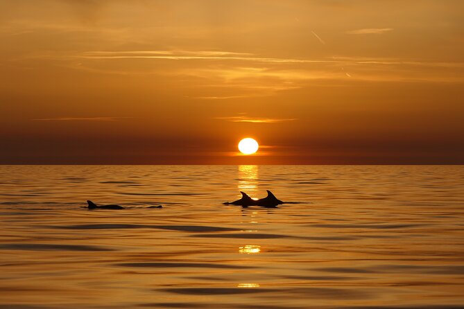 Cape Kamenjak Guided Kayak Sunset Tour With Island Exploring - Exploring Cape Kamenjak