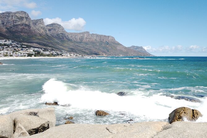 Cape of Good Hope, Seal Island and Penguins Tour - Booking Information