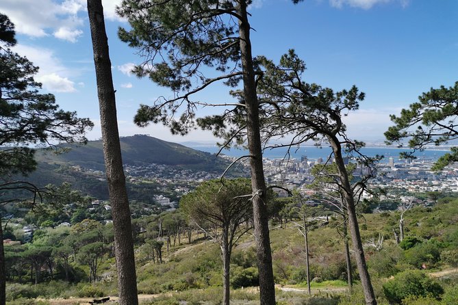 Cape Town City Tour Including Lions Head With Wi-Fi on Board. - Guest Experiences