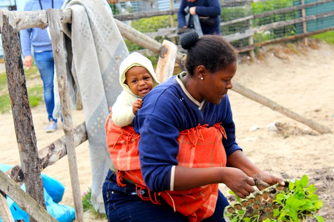 Cape Town Khayelitsha Township Tour - Tour Itinerary and Meeting Points