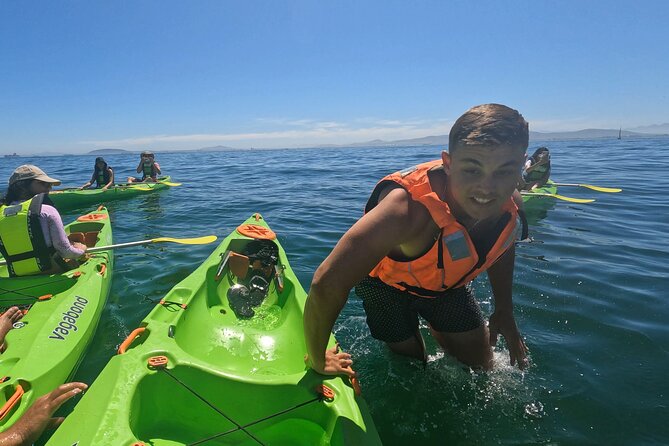 Cape Town Sea Kayaking Adventure Launching From V&A Waterfront - Accessibility Features