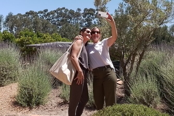 Cape Town Wine Tasting - Reviews and Feedback