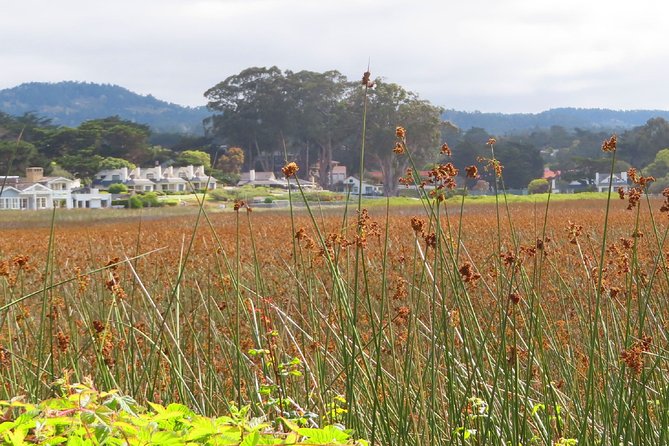 Carmel Point: A Self-Guided Audio Tour - Pricing and Booking Information
