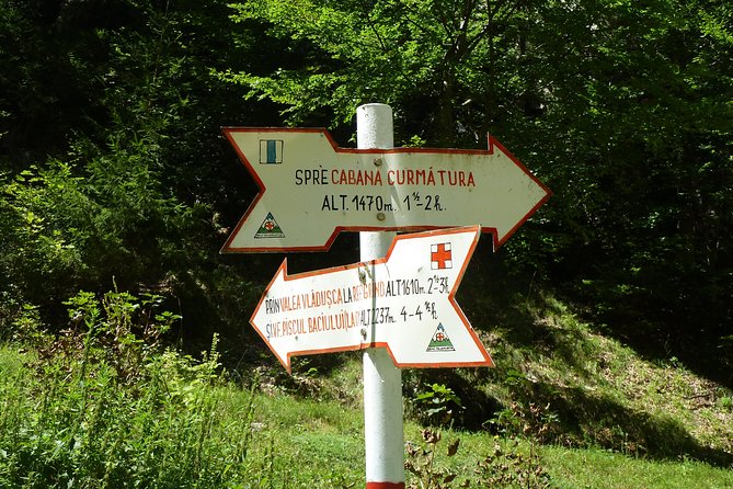 Carpathians in Romania: Piatra Craiului National Park With Native Spanish Guide. - Cancellation and Support Details