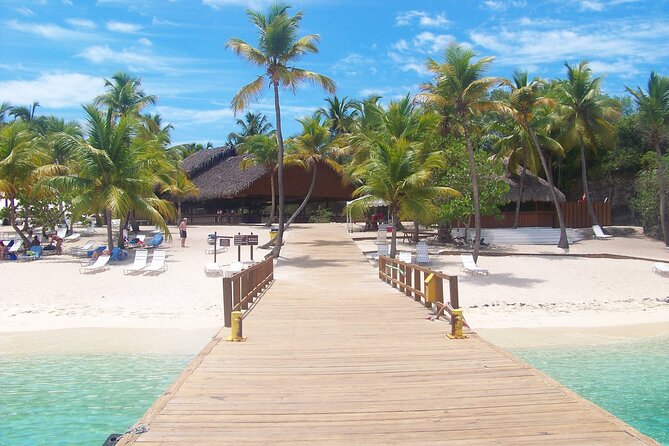 Catalina Island and Bayahibe Snorkel Tour - Alternative Snorkeling Options