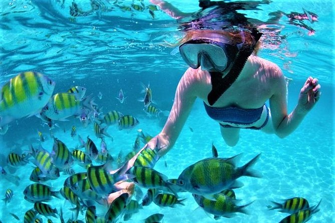 Catamaran Ile Aux Cerfs, Snorkeling + GRSE Waterfall, BBQ & Bar - Tour Reviews and Feedback