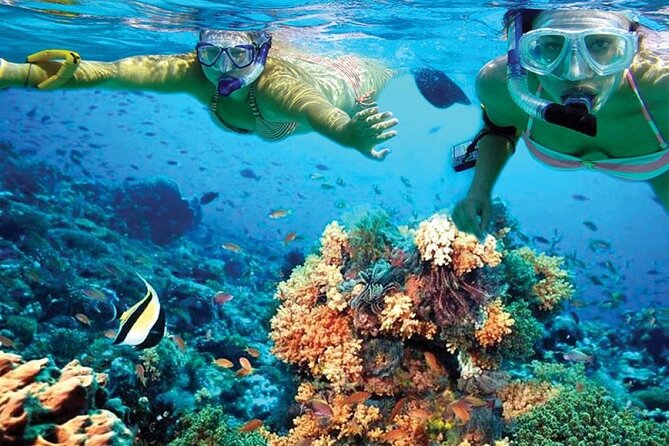 Catamaran Sailing to Isla Mujeres With Snorkeling, Lunch & Open Bar Included - Pricing and Cancellation Policy