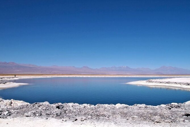 Cejar Lagoon and Ojos Del Salar With Tebinquiche Tour - Discovering Tebinquiche