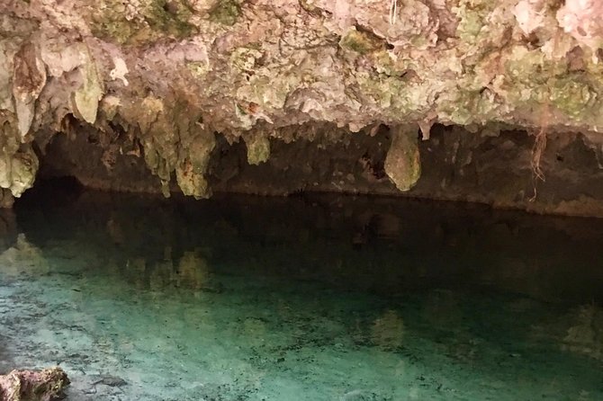 Cenotes Bike Tour With Food - Exploring the Hidden Cenotes