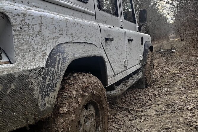 Central Istria Gastro and Off Road Half-Day Private Guided Tour - Gastronomic Delights