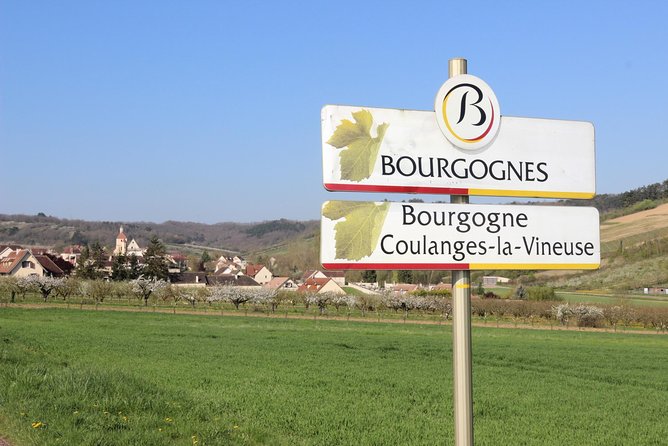 Chablis & Northern Burgundy Wine Tour - Tour Imagery